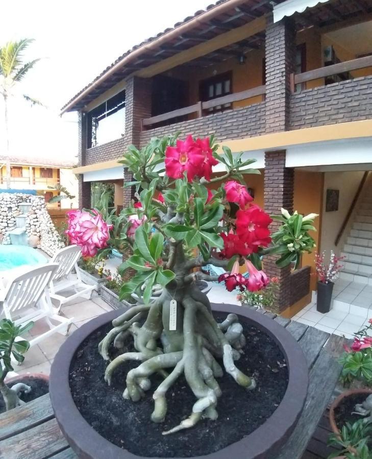 Pousada A Flor Da Terra ポルトセグロ エクステリア 写真