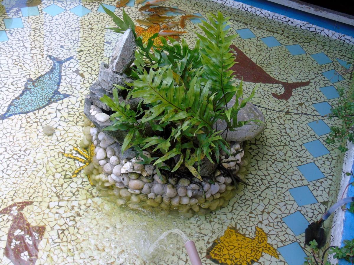 Pousada A Flor Da Terra ポルトセグロ エクステリア 写真
